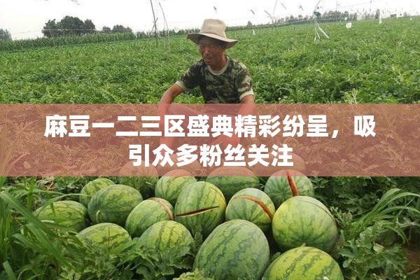 麻豆一二三区盛典精彩纷呈，吸引众多粉丝关注