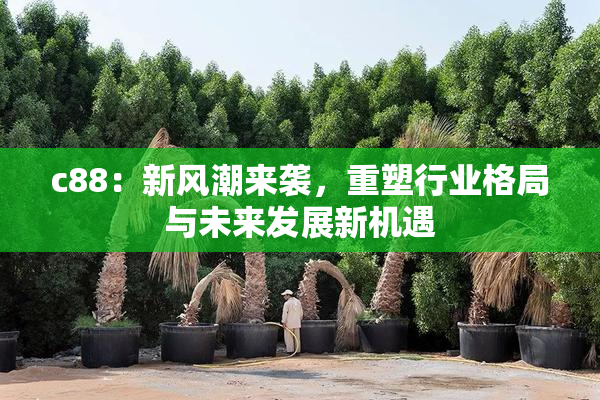 c88：新风潮来袭，重塑行业格局与未来发展新机遇