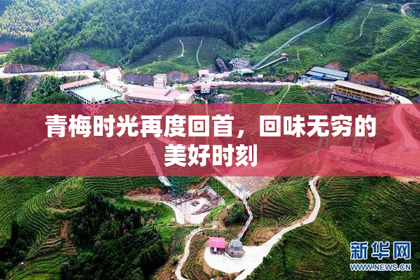 青梅时光再度回首，回味无穷的美好时刻