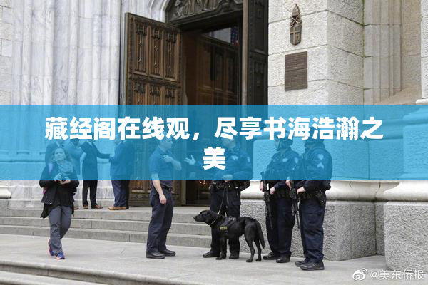 藏经阁在线观，尽享书海浩瀚之美