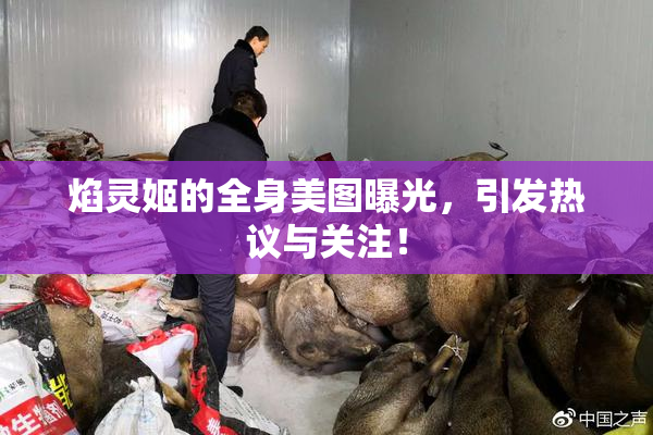 焰灵姬的全身美图曝光，引发热议与关注！