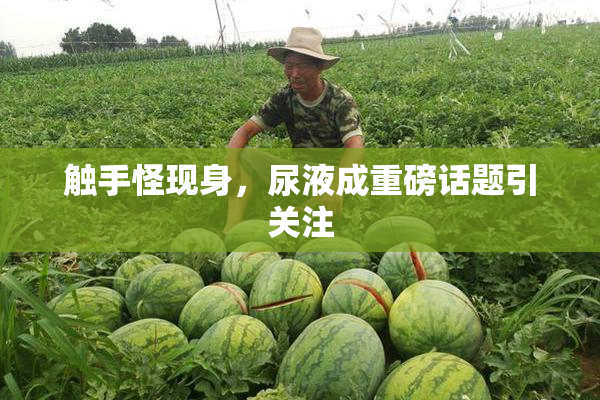 触手怪现身，尿液成重磅话题引关注