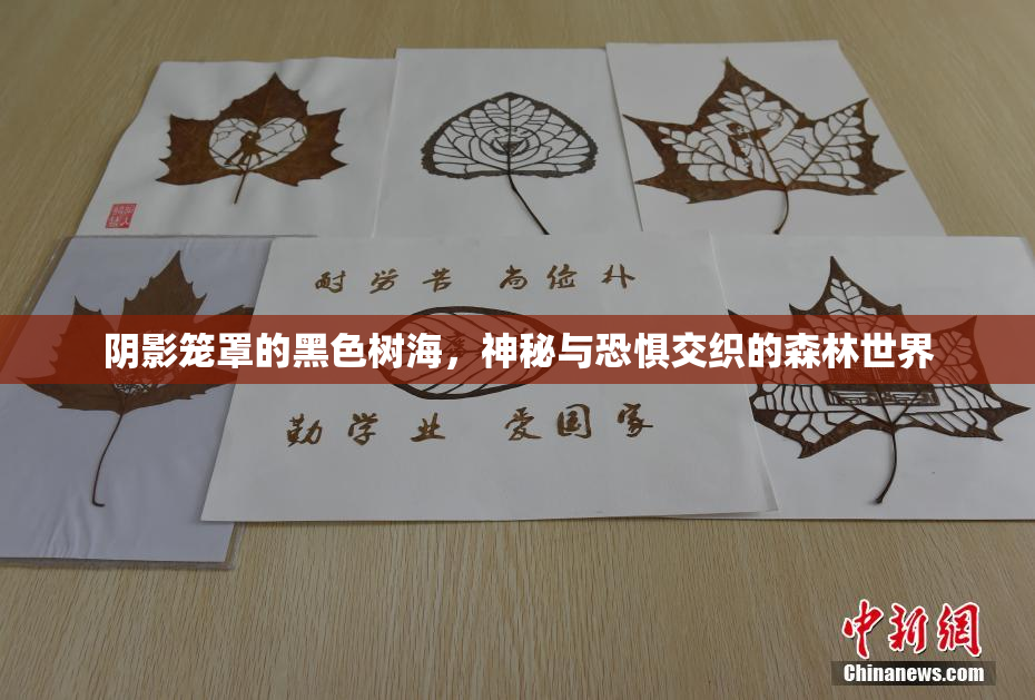 阴影笼罩的黑色树海，神秘与恐惧交织的森林世界