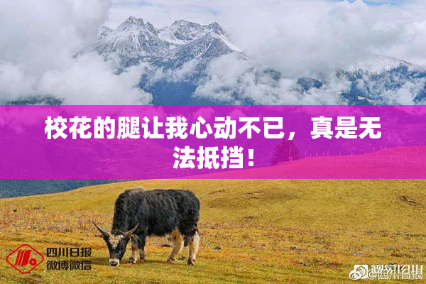 校花的腿让我心动不已，真是无法抵挡！
