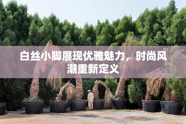 白丝小脚展现优雅魅力，时尚风潮重新定义