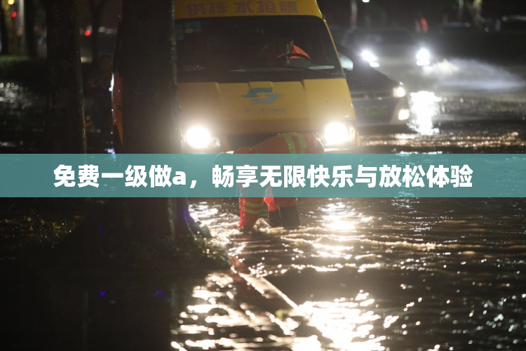 免费一级做a，畅享无限快乐与放松体验