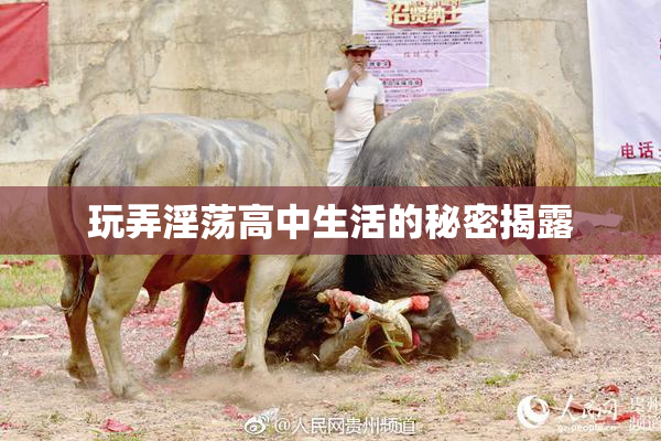 玩弄淫荡高中生活的秘密揭露