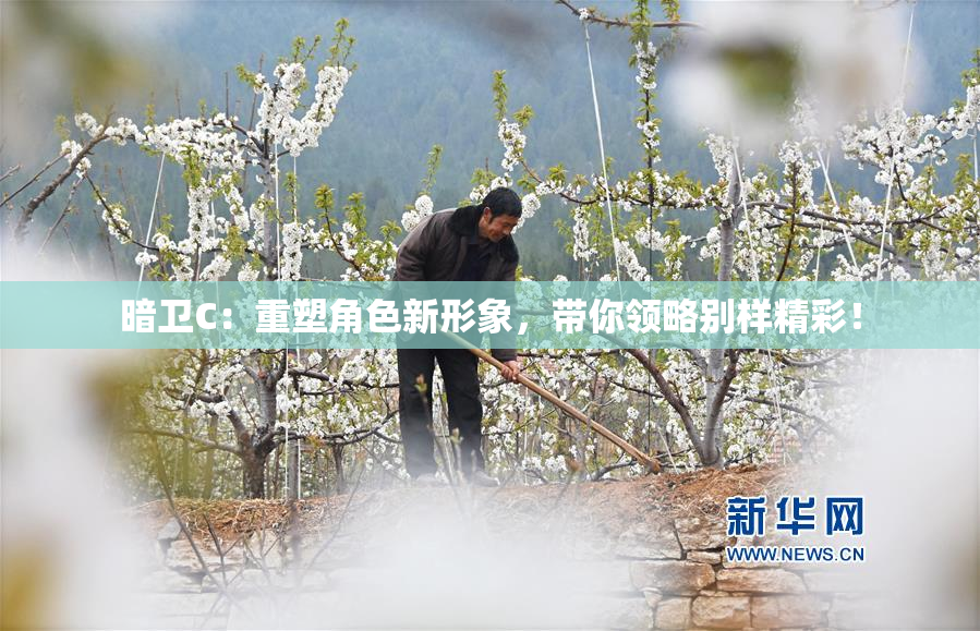 暗卫C：重塑角色新形象，带你领略别样精彩！