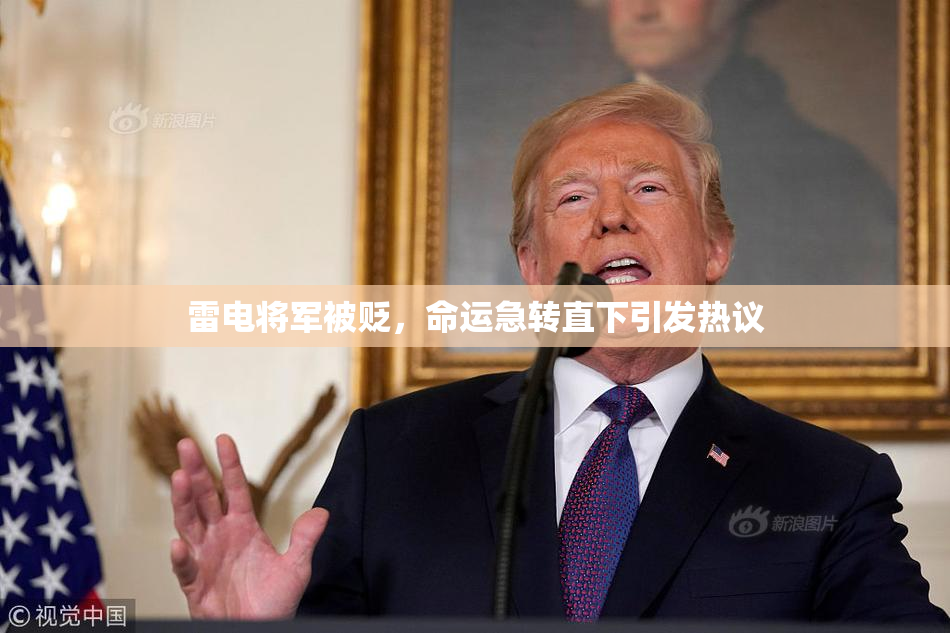 雷电将军被贬，命运急转直下引发热议