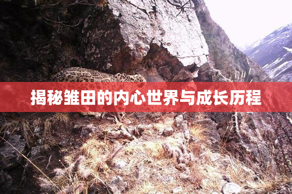 揭秘雏田的内心世界与成长历程