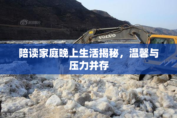 陪读家庭晚上生活揭秘，温馨与压力并存