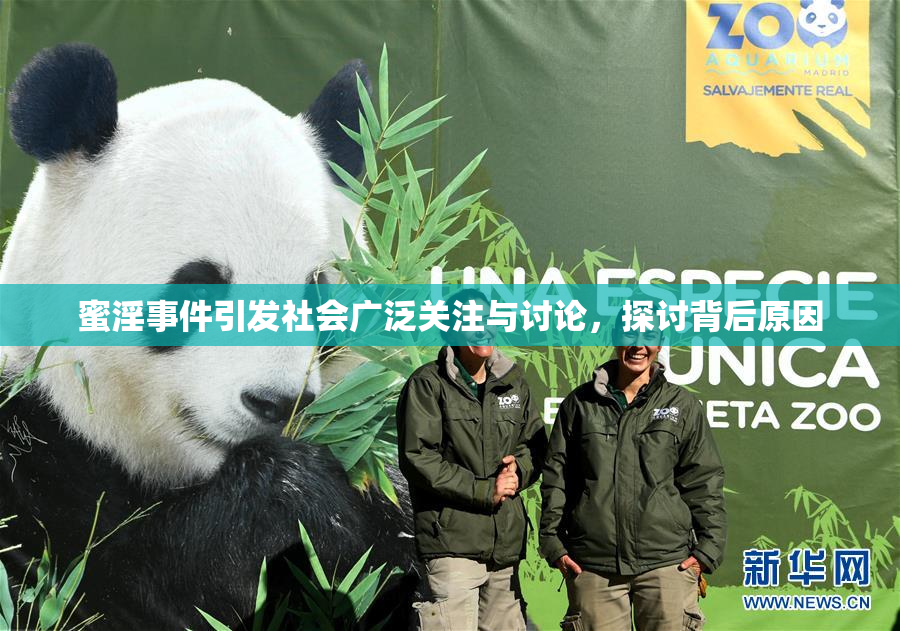 蜜淫事件引发社会广泛关注与讨论，探讨背后原因
