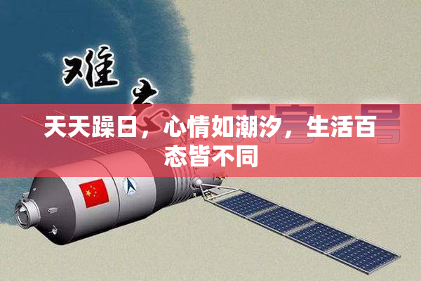 天天躁日，心情如潮汐，生活百态皆不同