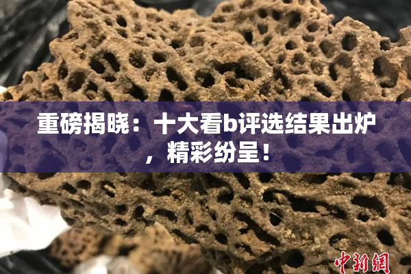 重磅揭晓：十大看b评选结果出炉，精彩纷呈！