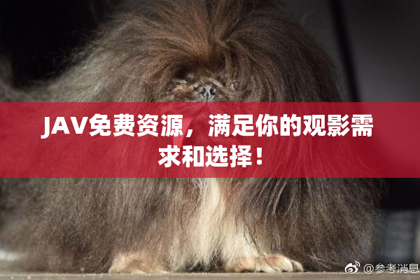 JAV免费资源，满足你的观影需求和选择！