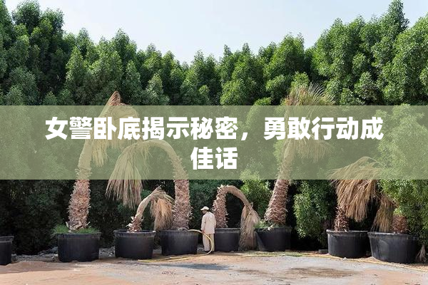 女警卧底揭示秘密，勇敢行动成佳话
