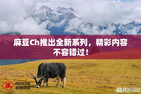 麻豆Ch推出全新系列，精彩内容不容错过！