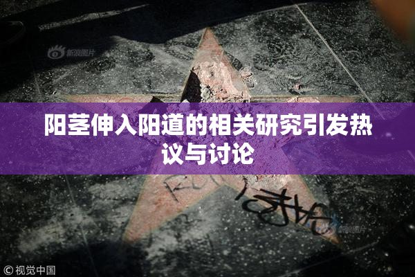 阳茎伸入阳道的相关研究引发热议与讨论