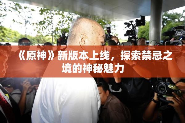 《原神》新版本上线，探索禁忌之境的神秘魅力