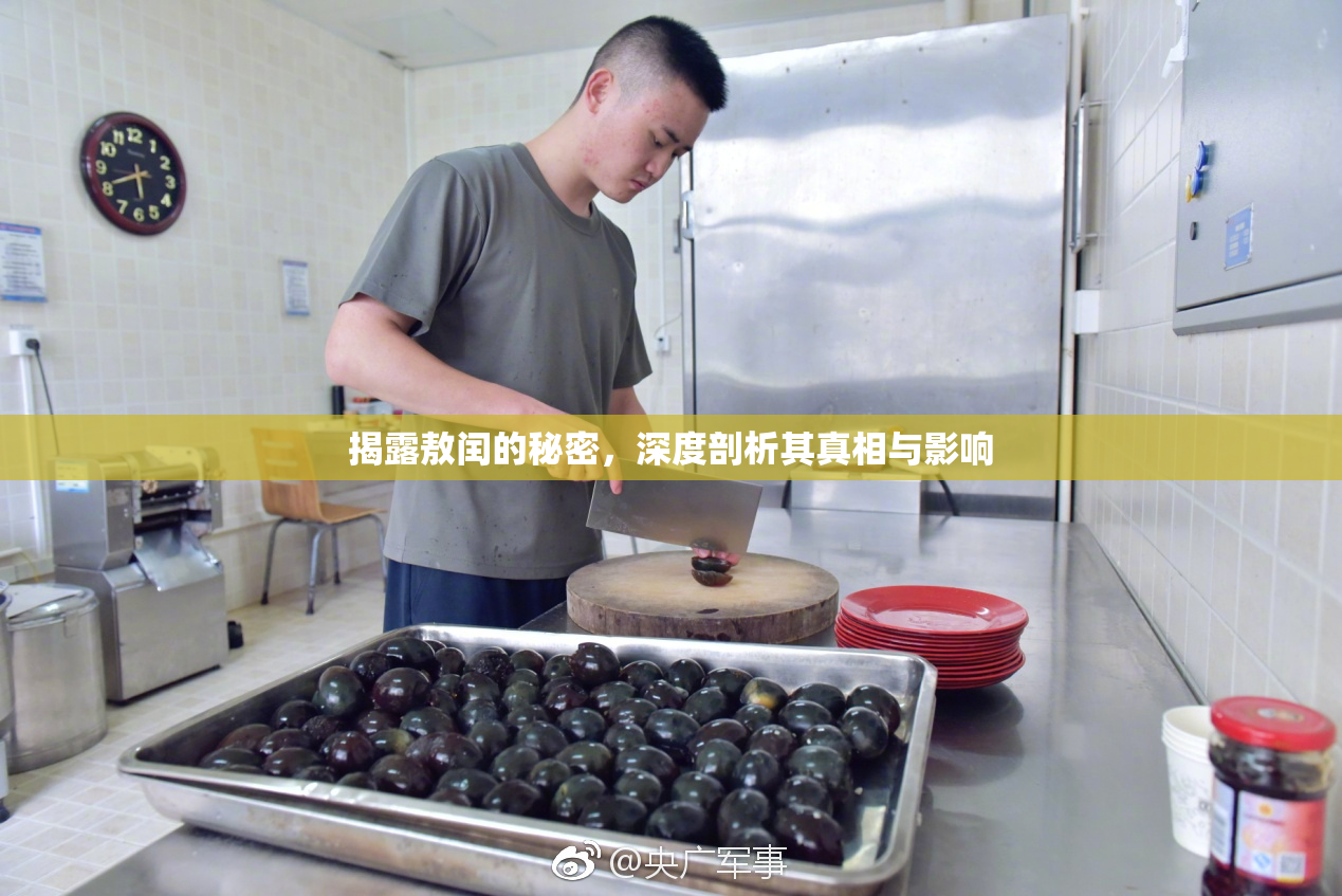 揭露敖闰的秘密，深度剖析其真相与影响