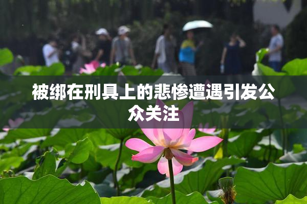 被绑在刑具上的悲惨遭遇引发公众关注