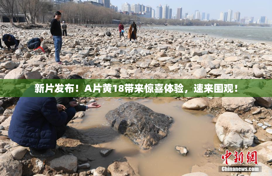 新片发布！A片黄18带来惊喜体验，速来围观！