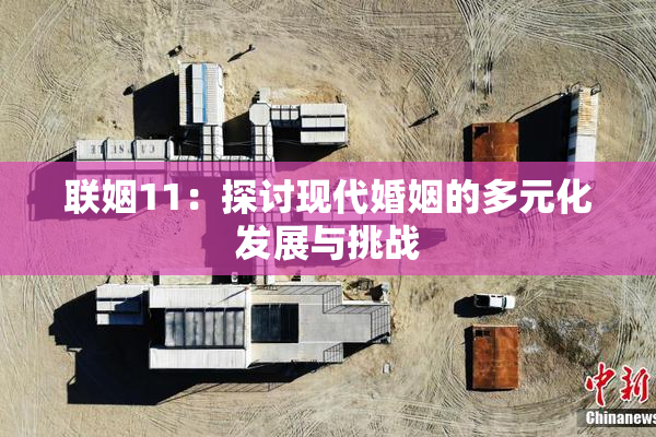 联姻11：探讨现代婚姻的多元化发展与挑战