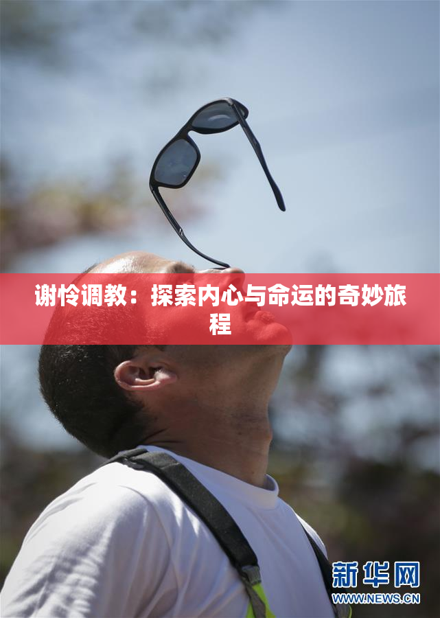 谢怜调教：探索内心与命运的奇妙旅程