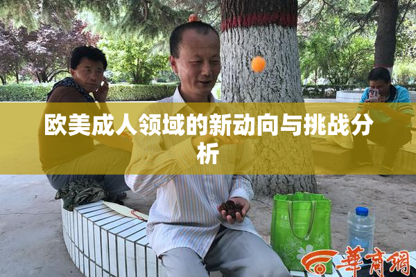 欧美成人领域的新动向与挑战分析