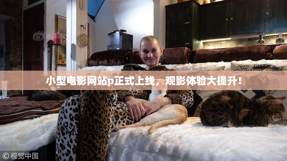 小型电影网站p正式上线，观影体验大提升！