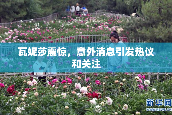 瓦妮莎震惊，意外消息引发热议和关注
