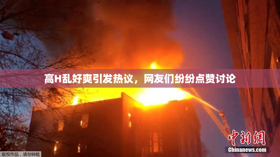 高H乱好爽引发热议，网友们纷纷点赞讨论