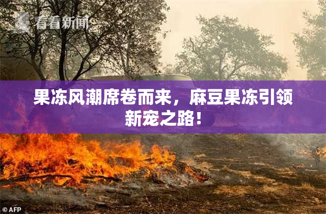 果冻风潮席卷而来，麻豆果冻引领新宠之路！