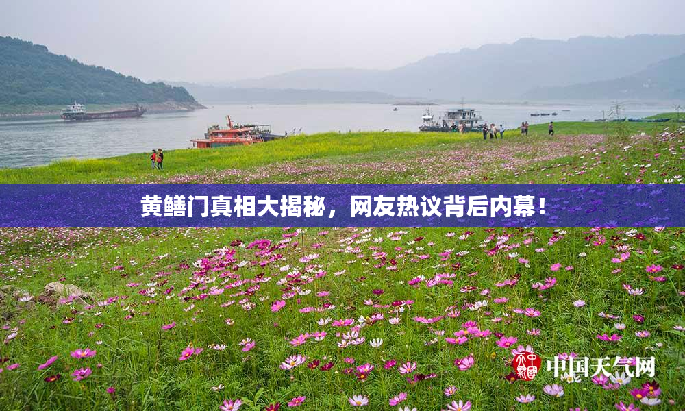 黄鳝门真相大揭秘，网友热议背后内幕！