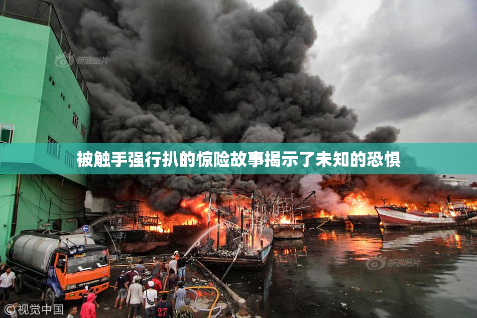 被触手强行扒的惊险故事揭示了未知的恐惧
