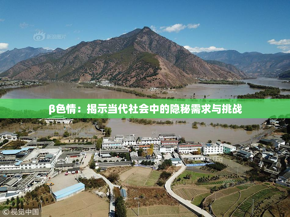 β色情：揭示当代社会中的隐秘需求与挑战