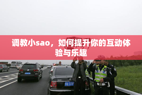 调教小sao，如何提升你的互动体验与乐趣