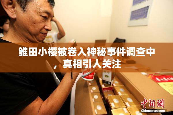 雏田小樱被卷入神秘事件调查中，真相引人关注