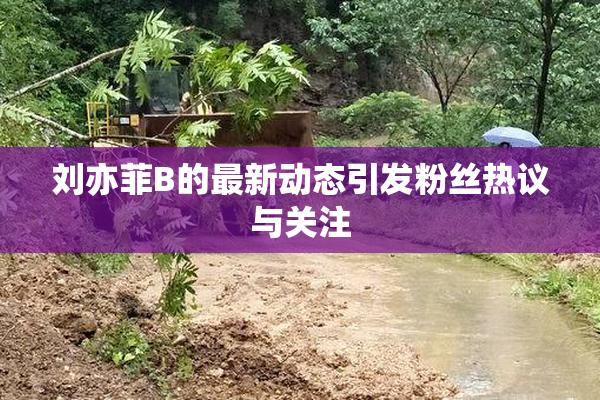 刘亦菲B的最新动态引发粉丝热议与关注