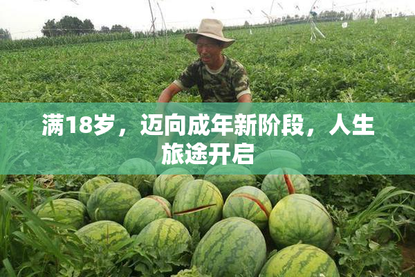 满18岁，迈向成年新阶段，人生旅途开启