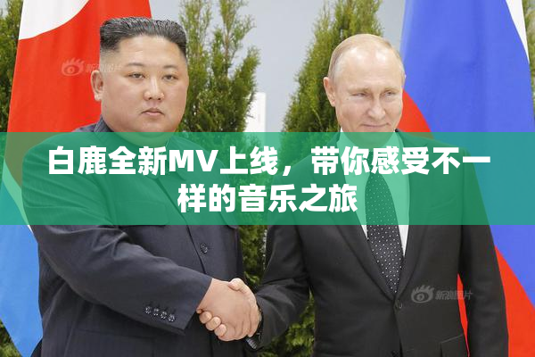 白鹿全新MV上线，带你感受不一样的音乐之旅