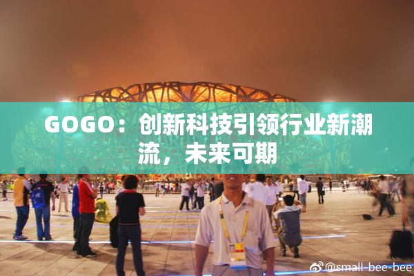 GOGO：创新科技引领行业新潮流，未来可期