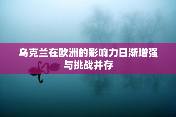 乌克兰在欧洲的影响力日渐增强与挑战并存