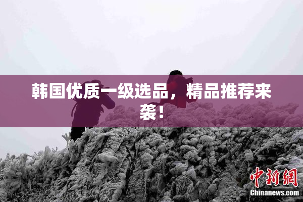 韩国优质一级选品，精品推荐来袭！