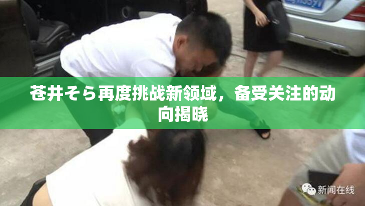 苍井そら再度挑战新领域，备受关注的动向揭晓