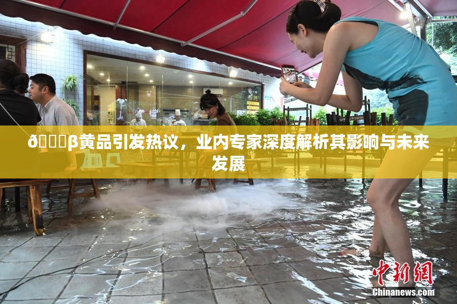 🔞β黄品引发热议，业内专家深度解析其影响与未来发展