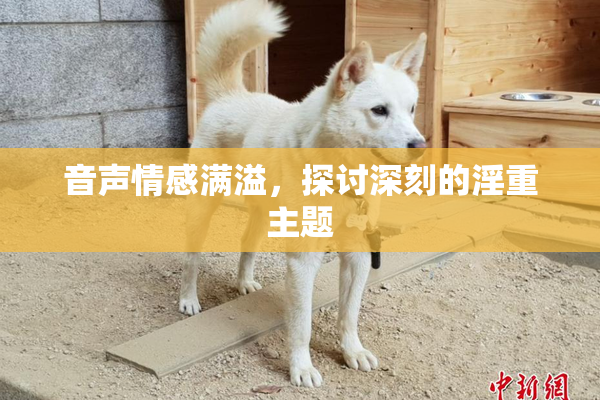 音声情感满溢，探讨深刻的淫重主题