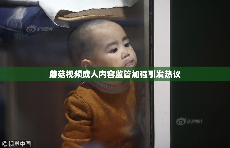 蘑菇视频成人内容监管加强引发热议