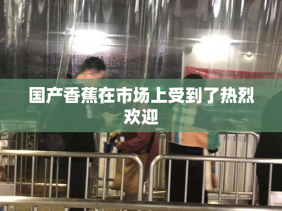 国产香蕉在市场上受到了热烈欢迎