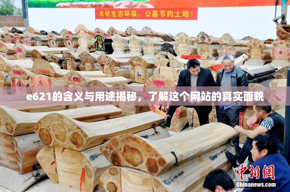 e621的含义与用途揭秘，了解这个网站的真实面貌